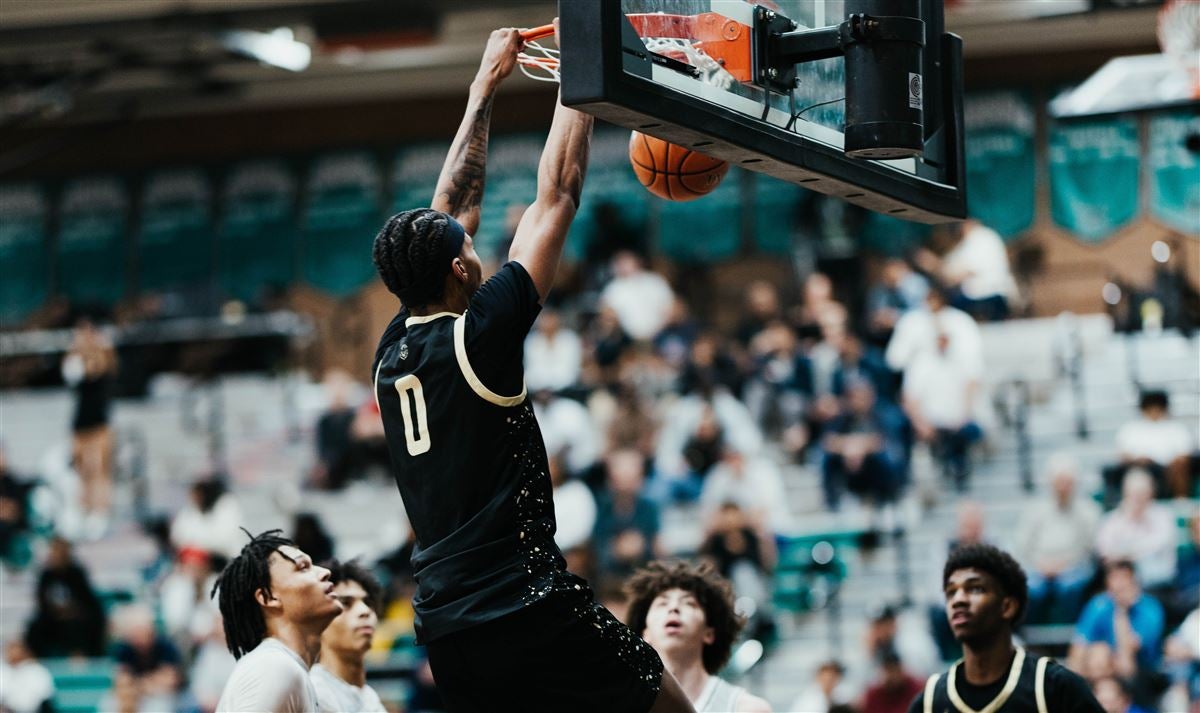 仅反映了他 仅反映了他