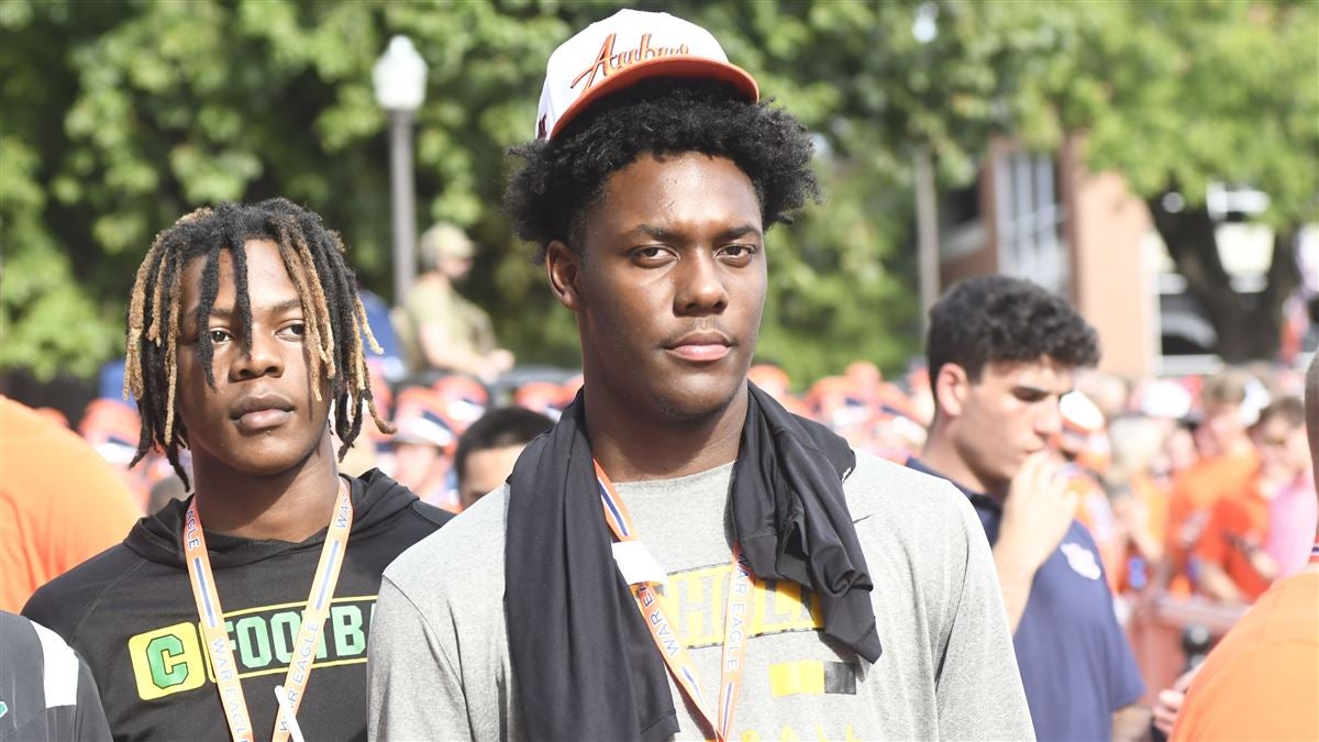 切实减轻了 切实减轻了